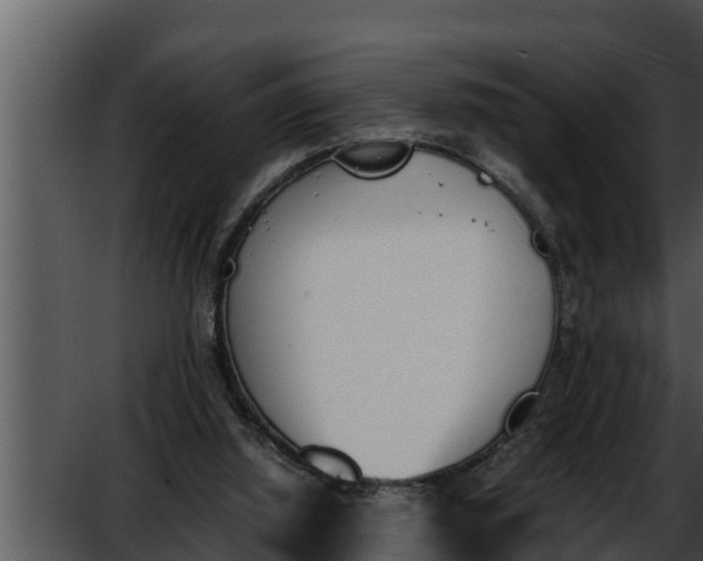 X0000052610060200507160048