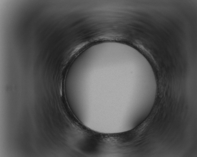 X0000052610062200507160048