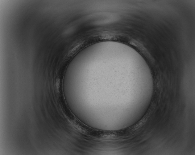 X0000052610066200507160048