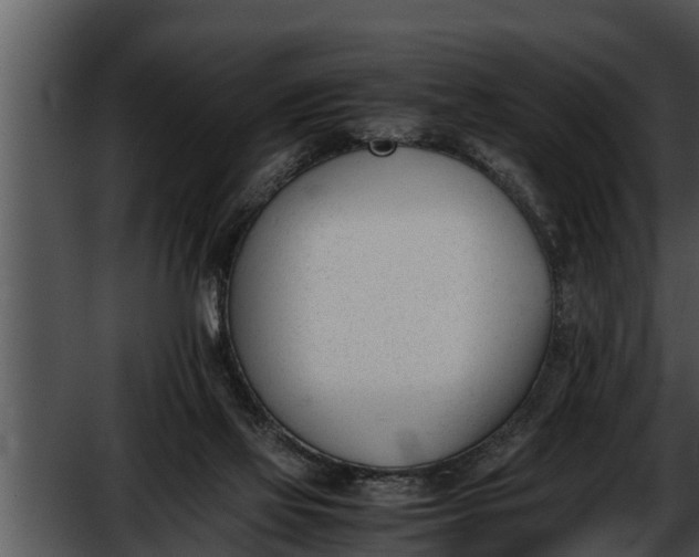 X0000052610069200507160048