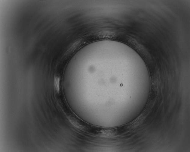 X0000052610070200507160048