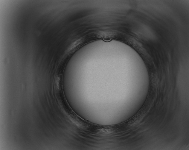 X0000052610071200507160048