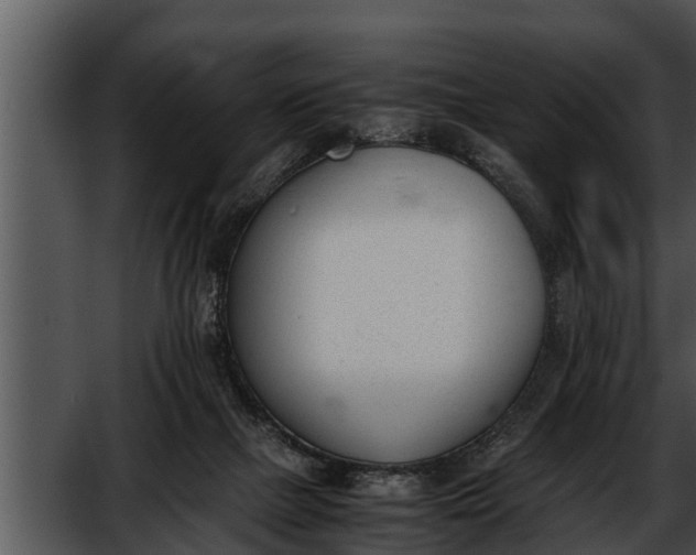 X0000052610073200507160048