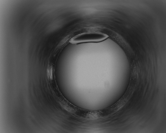 X0000052610076200507160048