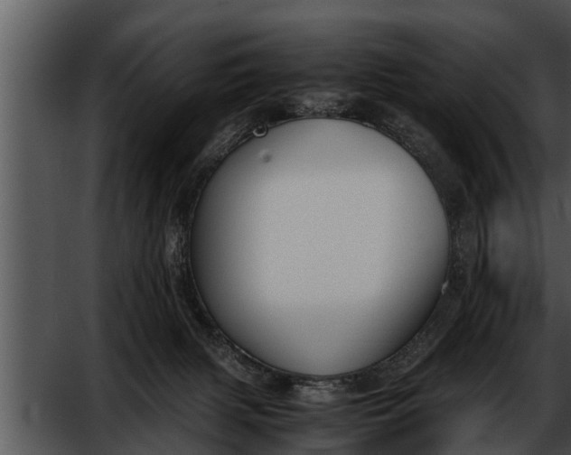 X0000052610079200507160048