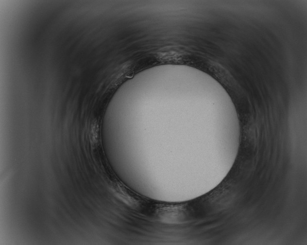 X0000052610081200507160048