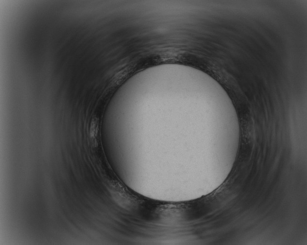 X0000052610082200507160048