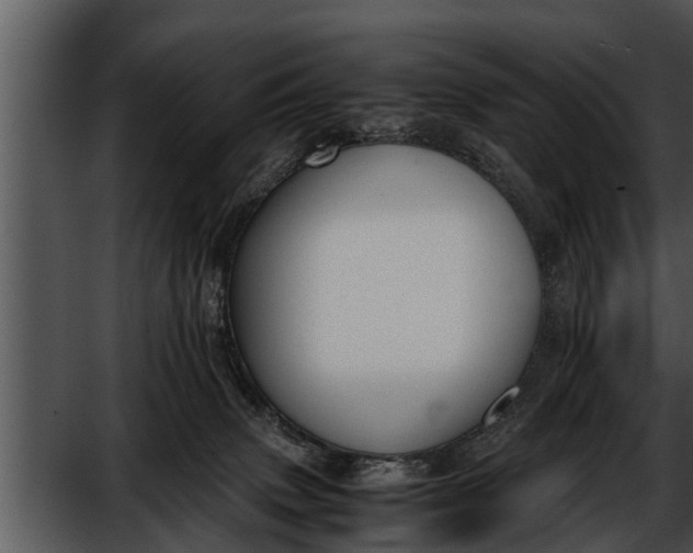 X0000052610083200507160048