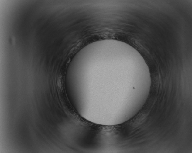 X0000052610088200507160048