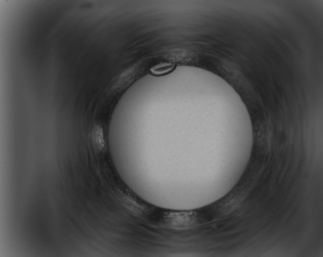 X0000052610089200507160048