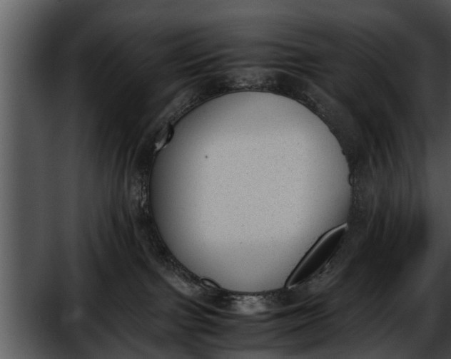 X0000052610091200507160049