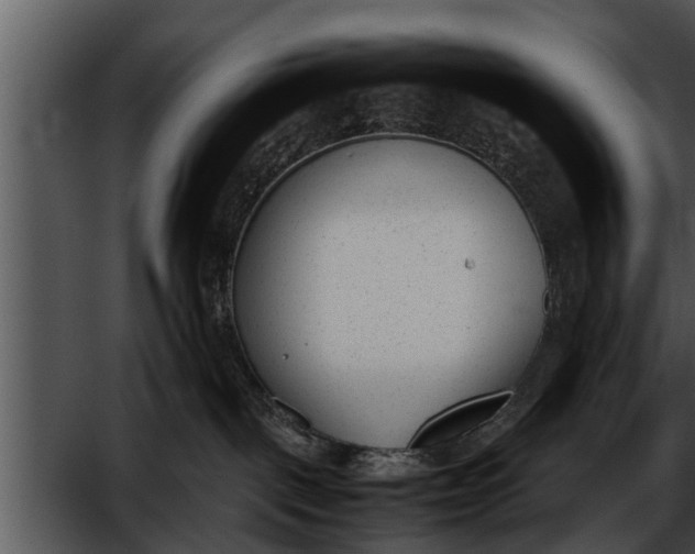 X0000052610093200507160049