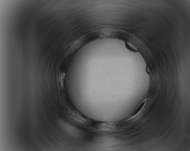 X0000052610094200507160049