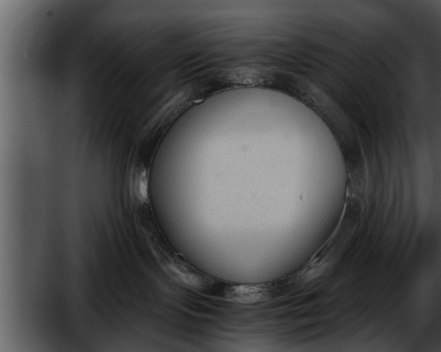 X0000052610095200507160049