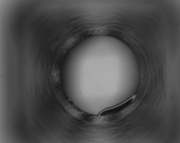 X0000052610096200507160049