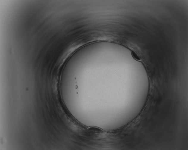 X0000052610098200507160048