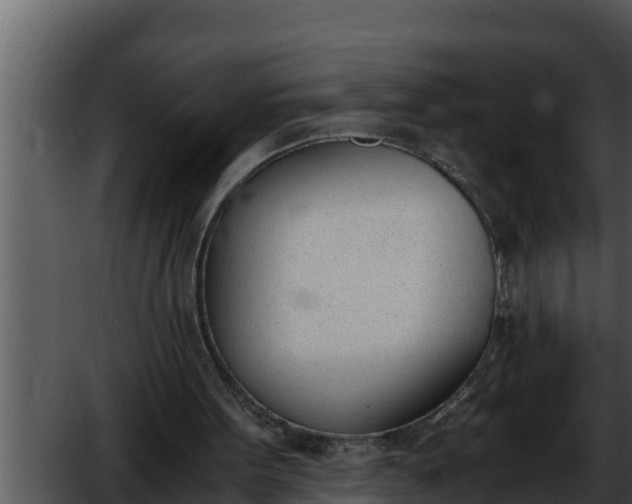 X0000052610099200507160048