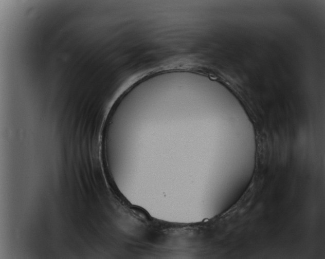 X0000052610100200507160048