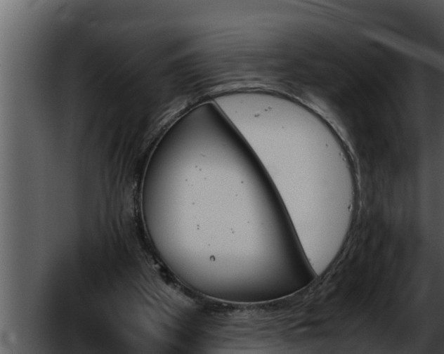 X0000052610105200507160048