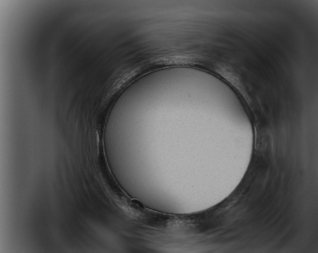 X0000052610109200507160048