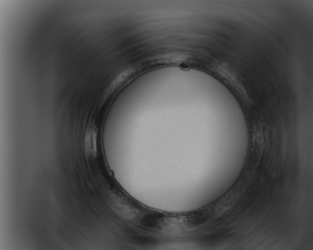 X0000052610110200507160048