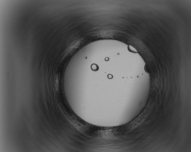 X0000052610120200507160047