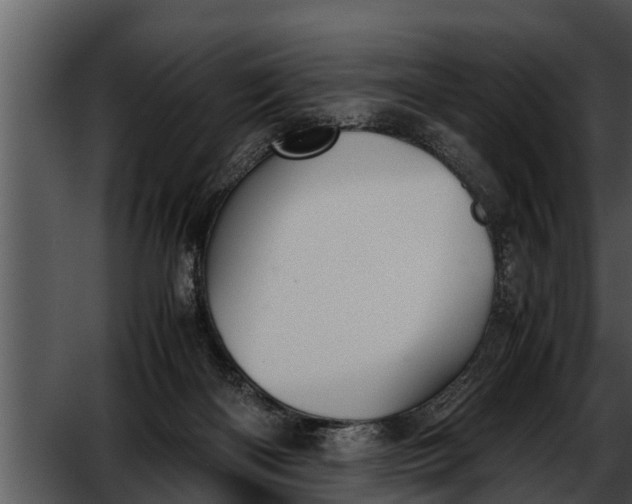 X0000052610122200507160047