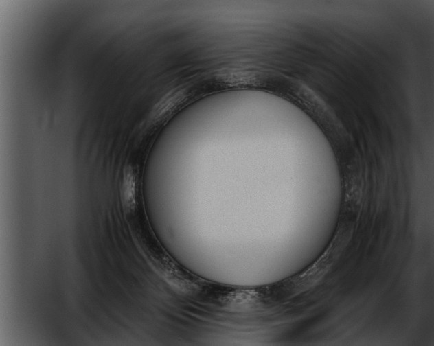 X0000052610124200507160047