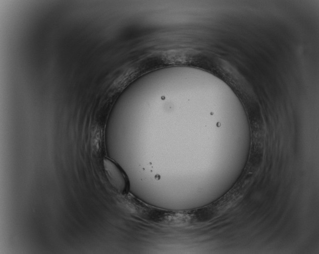 X0000052610125200507160047