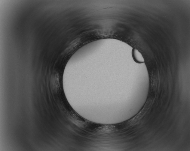 X0000052610128200507160047