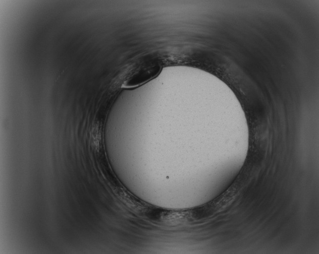 X0000052610129200507160047