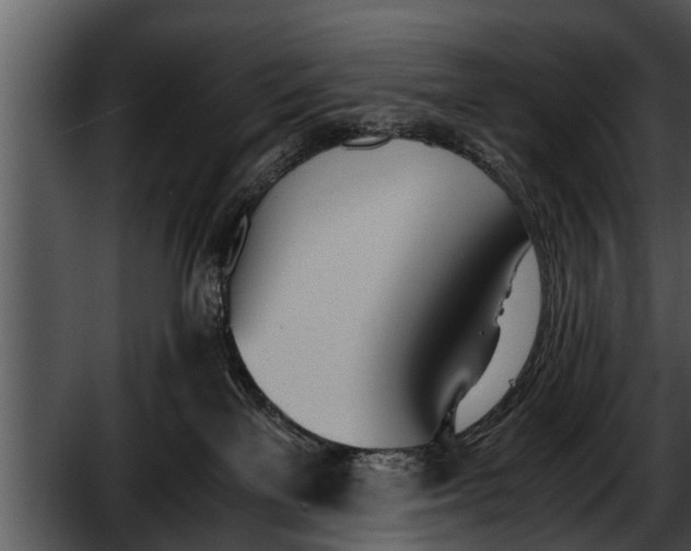 X0000052610137200507160047