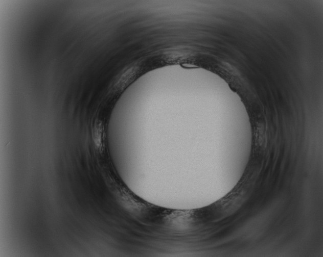 X0000052610138200507160047