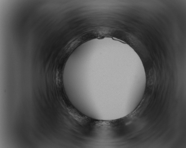 X0000052610140200507160047