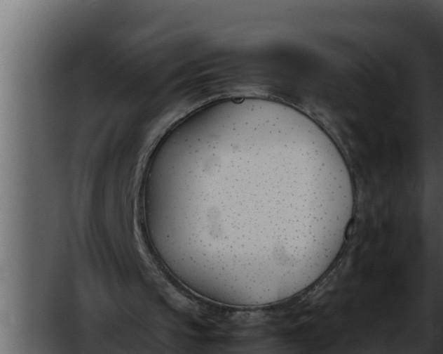 X0000052610145200507160046