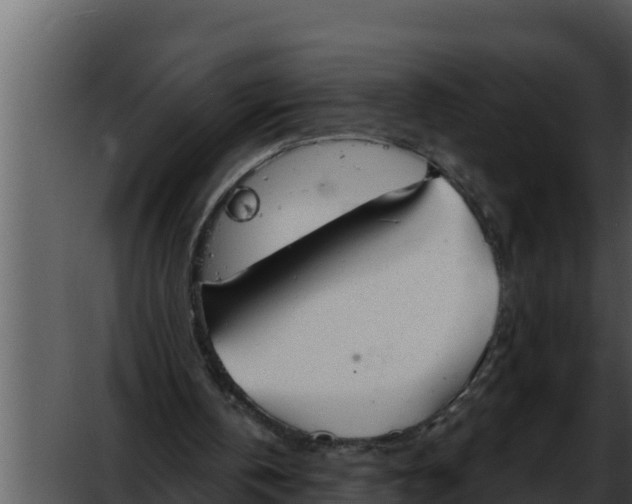 X0000052610146200507160046