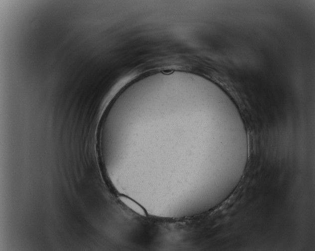 X0000052610147200507160046