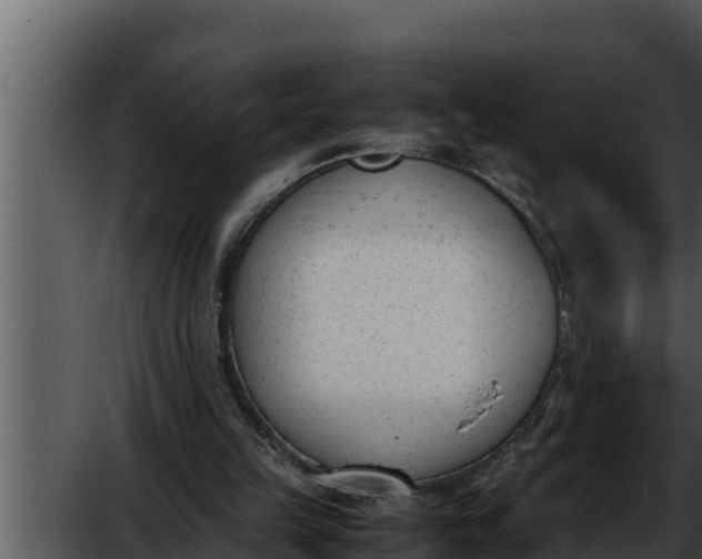 X0000052610149200507160046