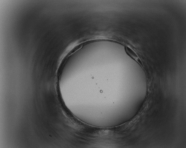 X0000052610152200507160046