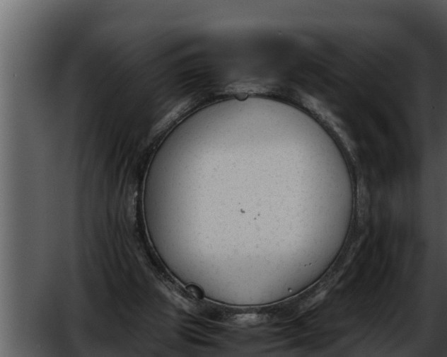 X0000052610153200507160046