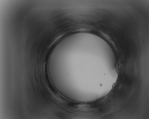 X0000052610154200507160046