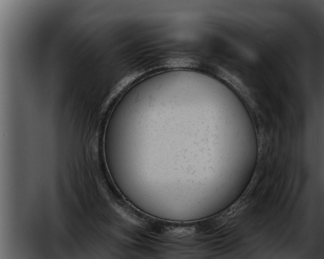 X0000052610155200507160046