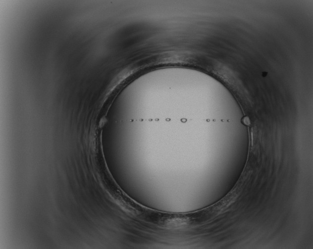 X0000052610156200507160046