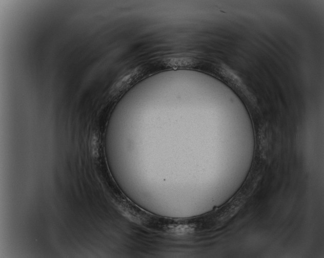 X0000052610161200507160046