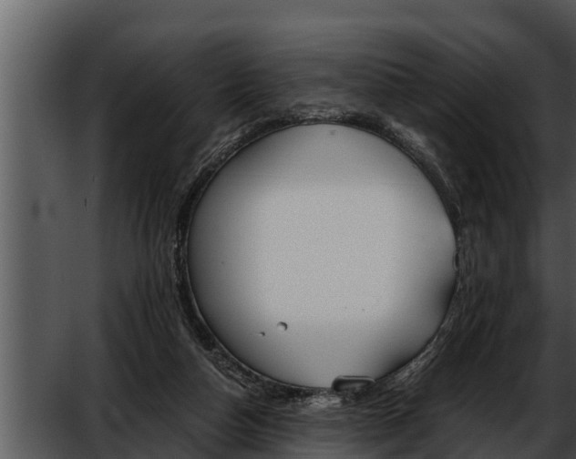 X0000052610162200507160046