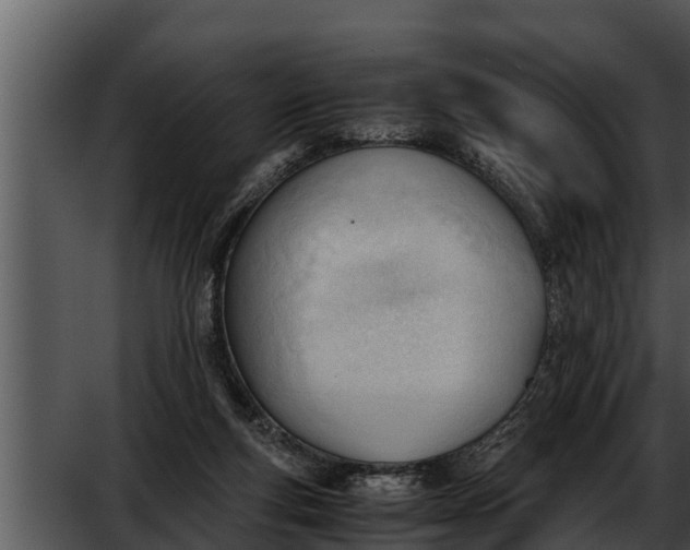 X0000052610163200507160046