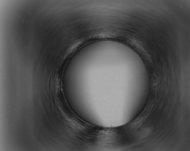 X0000052610164200507160046