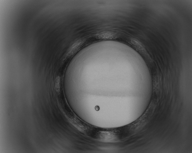 X0000052610167200507160047