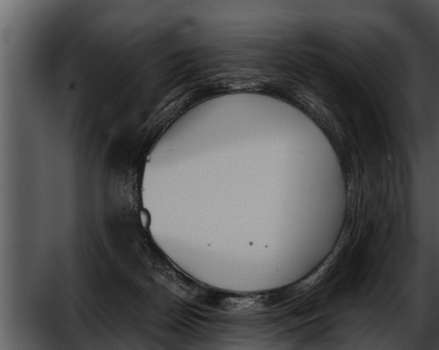 X0000052610170200507160047