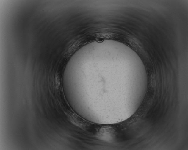 X0000052610173200507160047